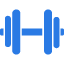 Imagen de una pesa de gimnasio